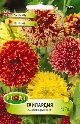 Seminte flori Fluturas/ Gaillardia pulchella 0,5 gr