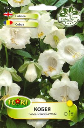Seminte flori Cobea/ Cobea scandens White 1 gr