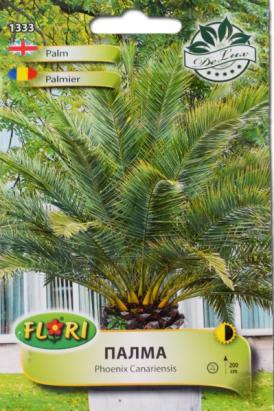 Seminte flori Palmier Phoenix/ Phoenix Canariensis 5 gr