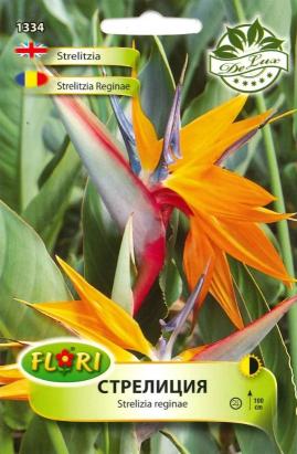 Seminte flori Pasarea paradisului/ Strelizia reginae 1 gr