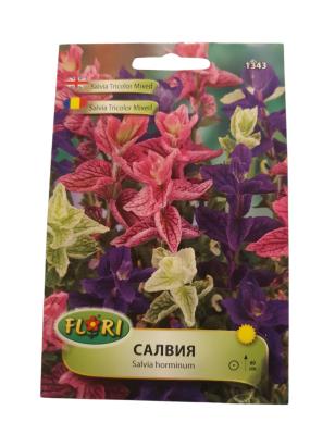 Seminte flori Salvia tricolor/ Salvia horminum tricolor mix 1 gr