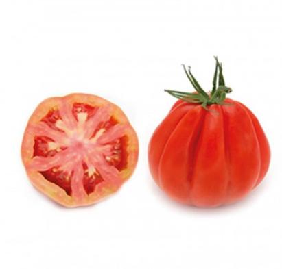 Seminte tomate Araldino F1 1000 sem