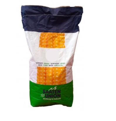 Samanta Porumb Suporto Saaten Union FAO 290 Sac 50.000 boabe