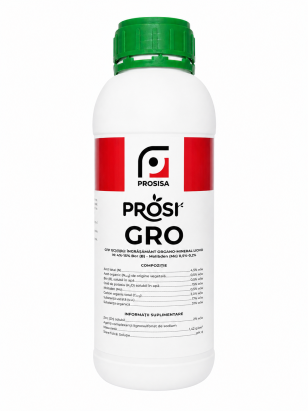 Stimulator de fructificare Prosi Gro 1 L