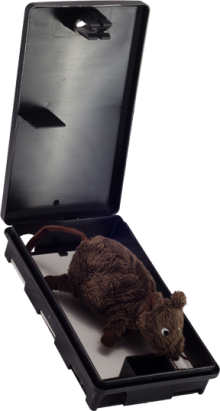 Statie de monitorizare Alis Pest Monitor ROV801F  inchidere cu Cheie 1 Bucata