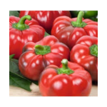 Seminte ardei gogosar Cornel PPZ 100 GR