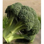 Seminte broccoli Ironman F1 1000 sem