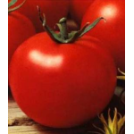 Seminte tomate Optima F1 500 sem