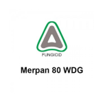 Fungicid Merpan 80 WDG 5 KG