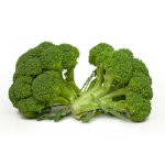 Seminte broccoli Calabrese Horti Tops 2 GR