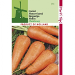 Seminte morcovi Chantenay Red Cored Horti Tops 5 GR
