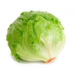 Seminte salata Iceberg Great Lakes Horti Tops 2 GR
