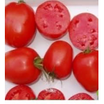 Seminte tomate Dyno F1 1000 sem