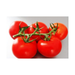 Seminte tomate Endeavour F1 100 sem