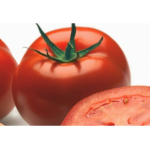Seminte tomate Logure F1 100 sem