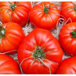 Seminte tomate Marmande Horti Tops 1 GR