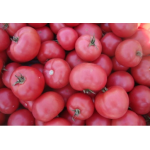 Seminte tomate roz Esmira F1 100 sem