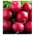 Seminte ridichi rosii Shari 250 gr