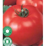 Seminte tomate Amalia 3000 sem