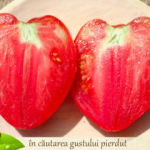 Seminte tomate Inima De Bou PPZ 5 GR