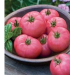 Seminte tomate roz Fuji Pink F1 500 sem