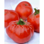 Seminte tomate Elisabeta 1 gr PG2 Agrosel