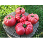 Seminte tomate Inima de bou roz Rosalinda F1 100 sem
