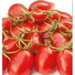 Seminte tomate Nicoleta F1 100 sem