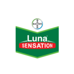 Fungicid Luna sensation 10 ML