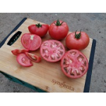 Seminte tomate roz Manekro F1 500 sem