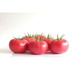 Seminte tomate roz Manistella F1 500 sem