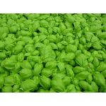 Seminte busuioc verde Gecom 100 gr