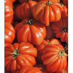 Seminte tomate inima de Albenga Corazon F1 250 sem