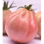 Seminte tomate inima de bou roz Rosamunda F1 500 sem