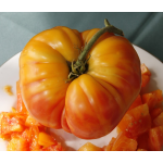 Seminte rosii Ananas Florian (20 seminte)