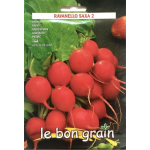 Seminte Ridichii de luna Saxa 2 Raci 13 gr