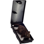 Statie de monitorizare Alis Pest Monitor ROV801F  inchidere cu Cheie 1 Bucata