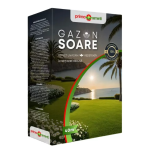 Seminte gazon soare 1 kg
